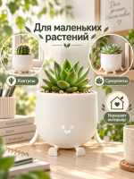 Горшок кашпо для небольших растений